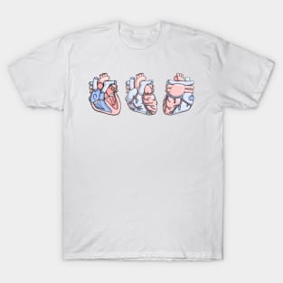 Human Heart Anatomy Illustration T-Shirt